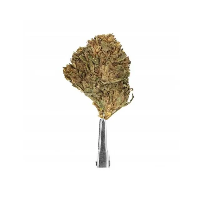 La Boutique du CBD