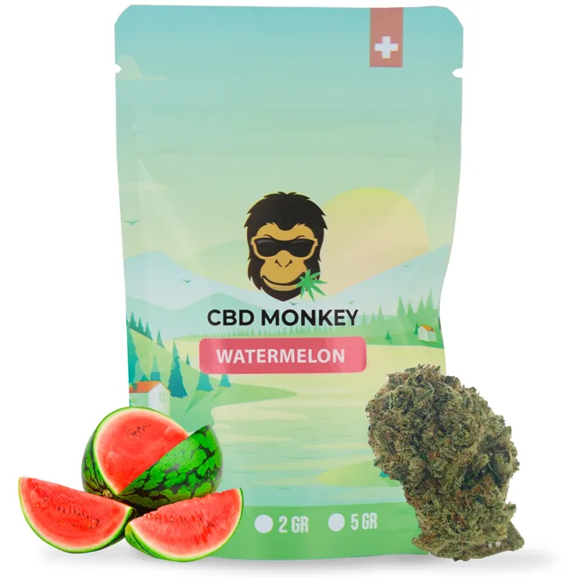 CBD Monkey