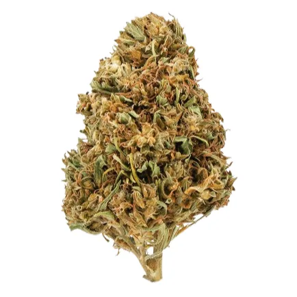 Magic CBD