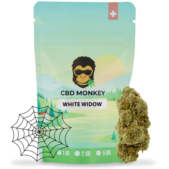 CBD Monkey