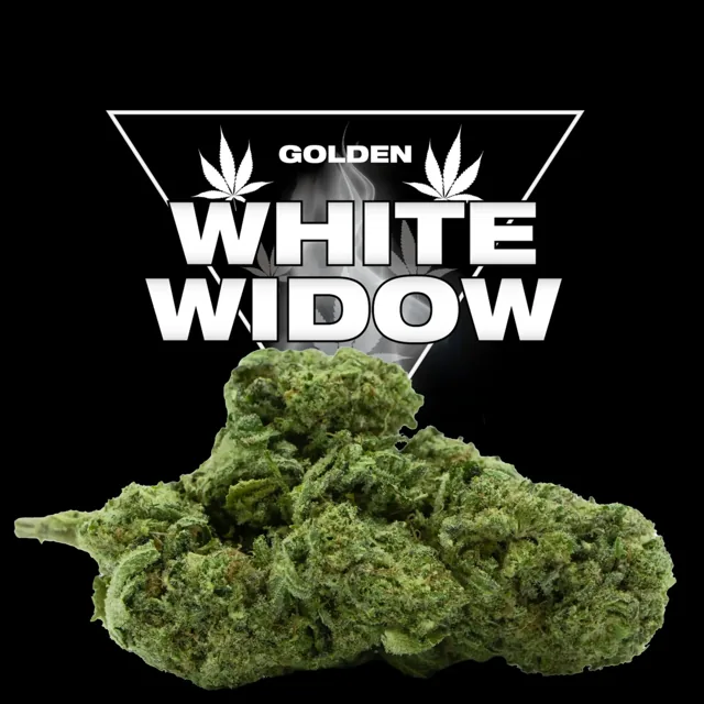 Golden CBD