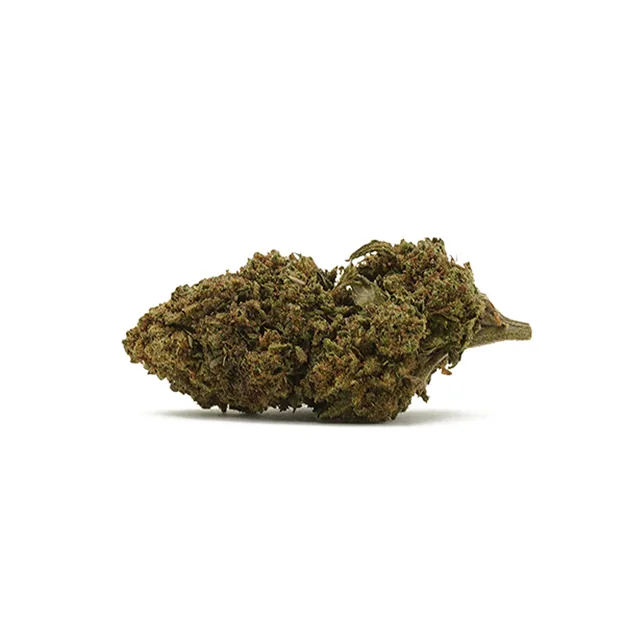 CBDSol