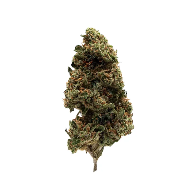 Magic CBD